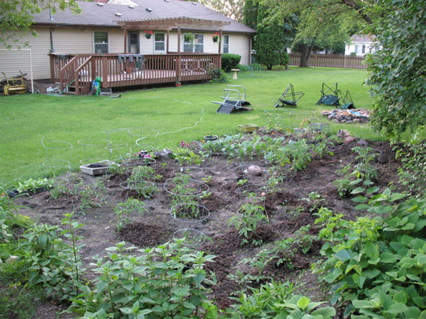 Tom Weaver Garden 2007 Bloomington, MN - planting
