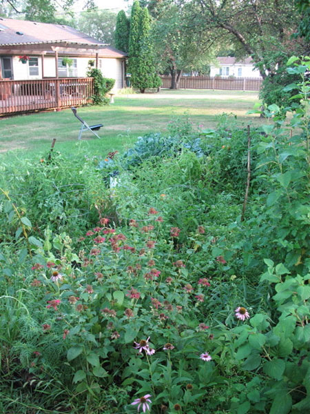Tom Weaver Garden 2007 Bloomington, MN - summer flowering